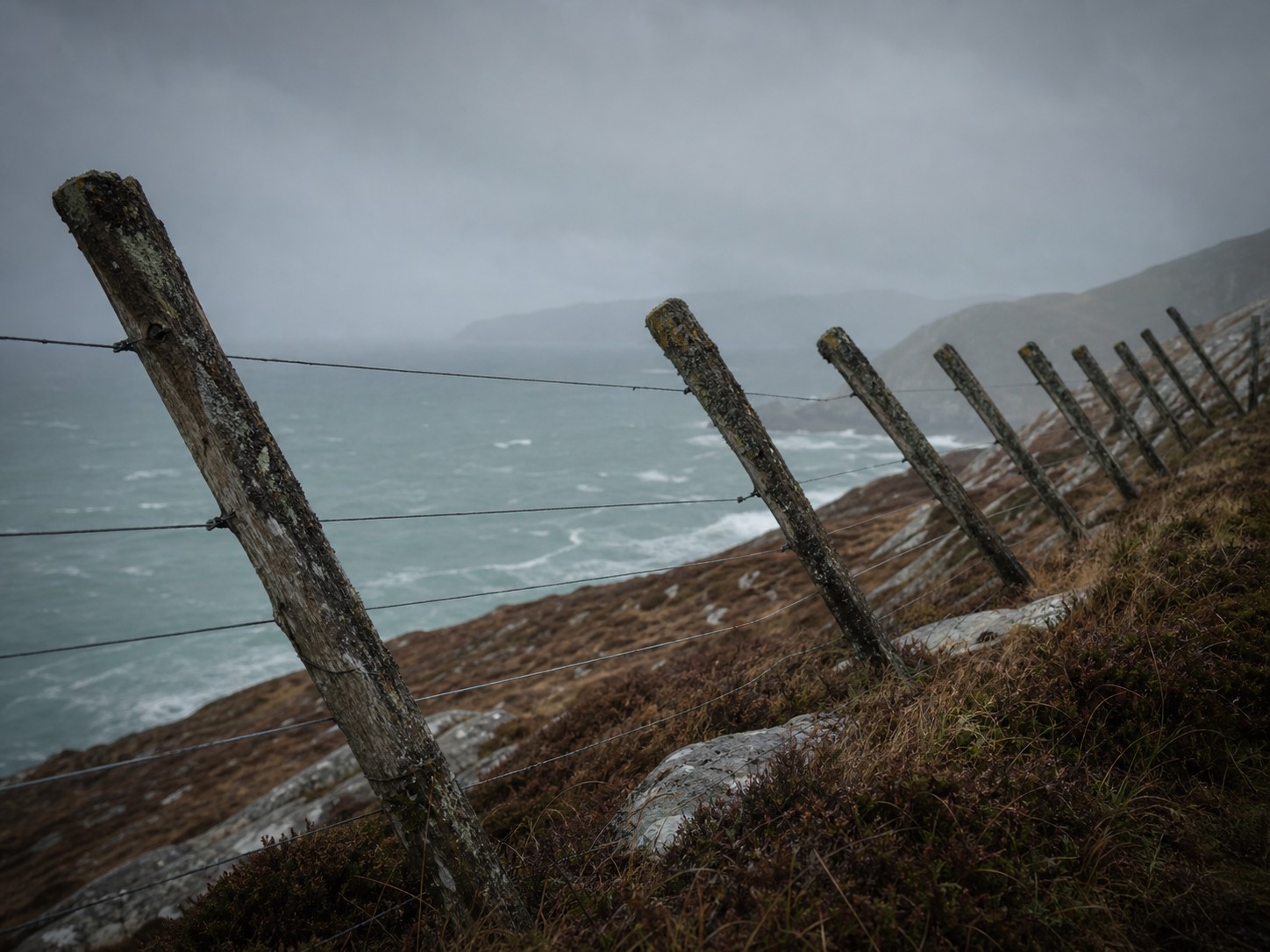 A row of wooden fence posts leaning at an impossible, uniform angle against a dead-grey sky.